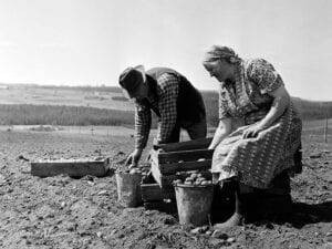 A couple of farmers