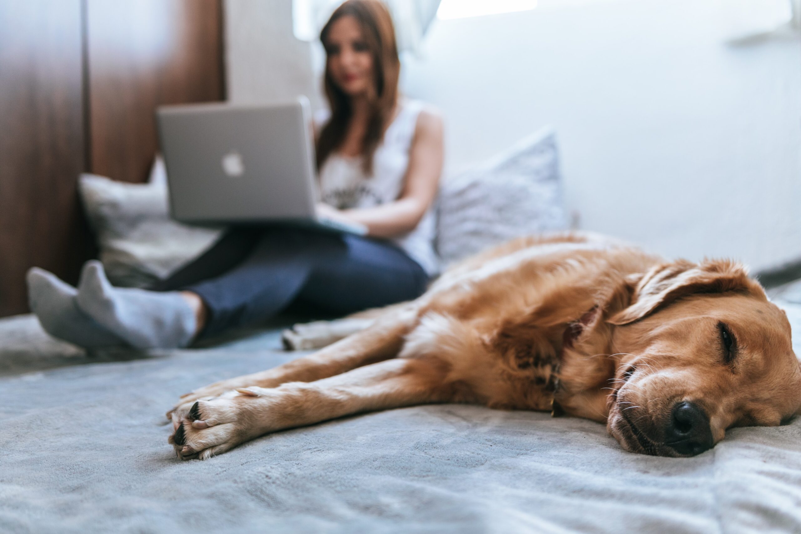 5 Tips For Finding Your Dream Work From Home Job featured image